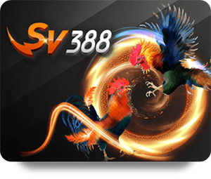 VF555 Top Bet Mobile App: Betting on the Go